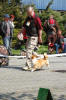 foto: Mirek Slab
