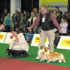Posouzen pr v Best in show
