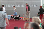 Best in show - FCI 1