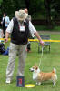 JCh. Alfa Zimmi 17th Meridian - exc. 2 Res.CAC