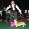 CH. ALFA ZIMMI 17th Meridian - CACIB