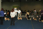Sout o BOBa (best of breed)