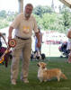 Ch. Alfa Zimmi 17th Meridian - DERBY VTZ