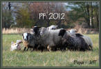 PF 2012