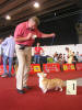 Drahuka na EURO DOG SHOW 2007