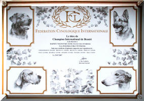 INTERCHAMPION  Darney Vranovsk leb
