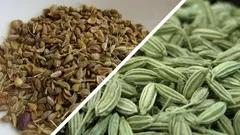 Bolest a nadýmání zmizí samy – osvědčený domácí prostředek z vaší kuchyně